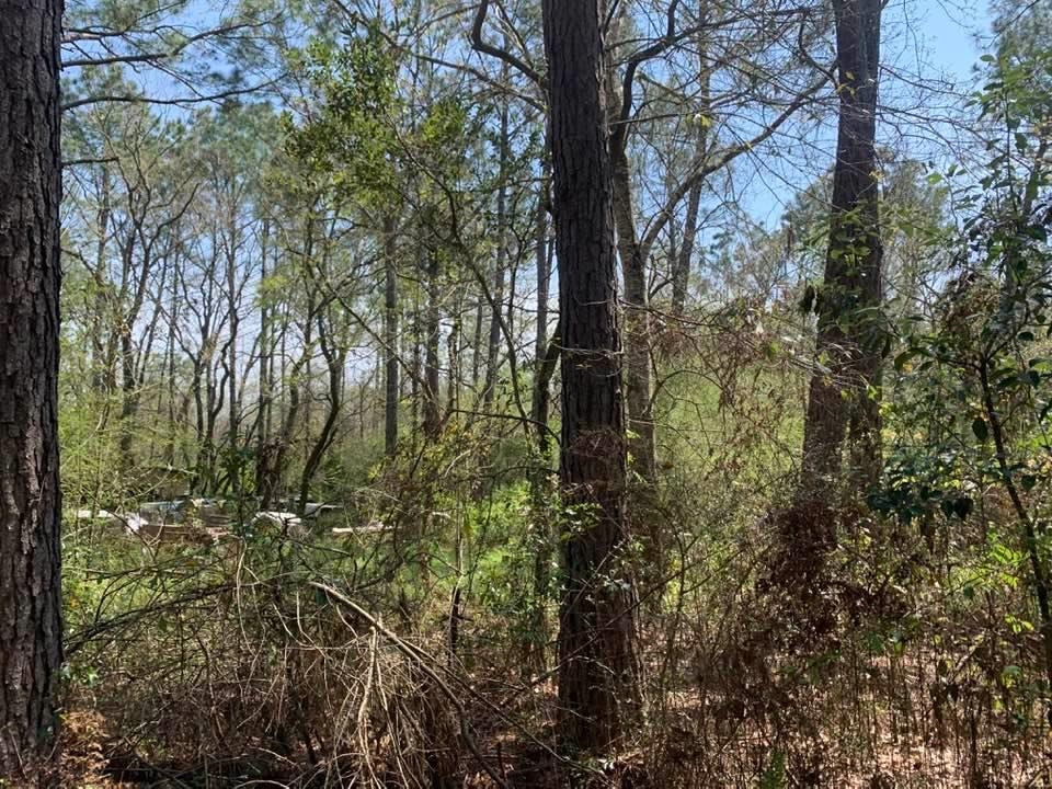 26264 Feely Road Elberta, AL 36530 - Photo 17 of 30