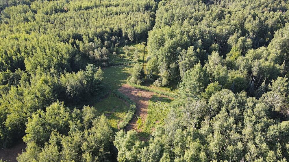 East Procunier Road Harrisville, MI 48740 - Photo 24 of 78 DJI_0967