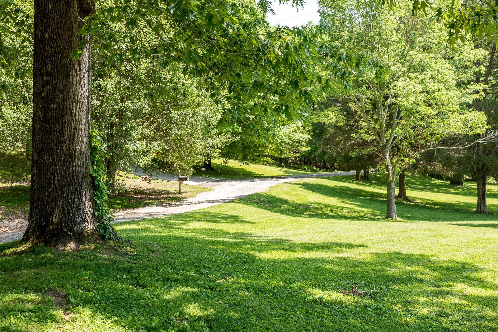 10997 Rials Branch Road Bon Aqua, TN 37025 - Photo 27 of 39 a view of a park with large trees