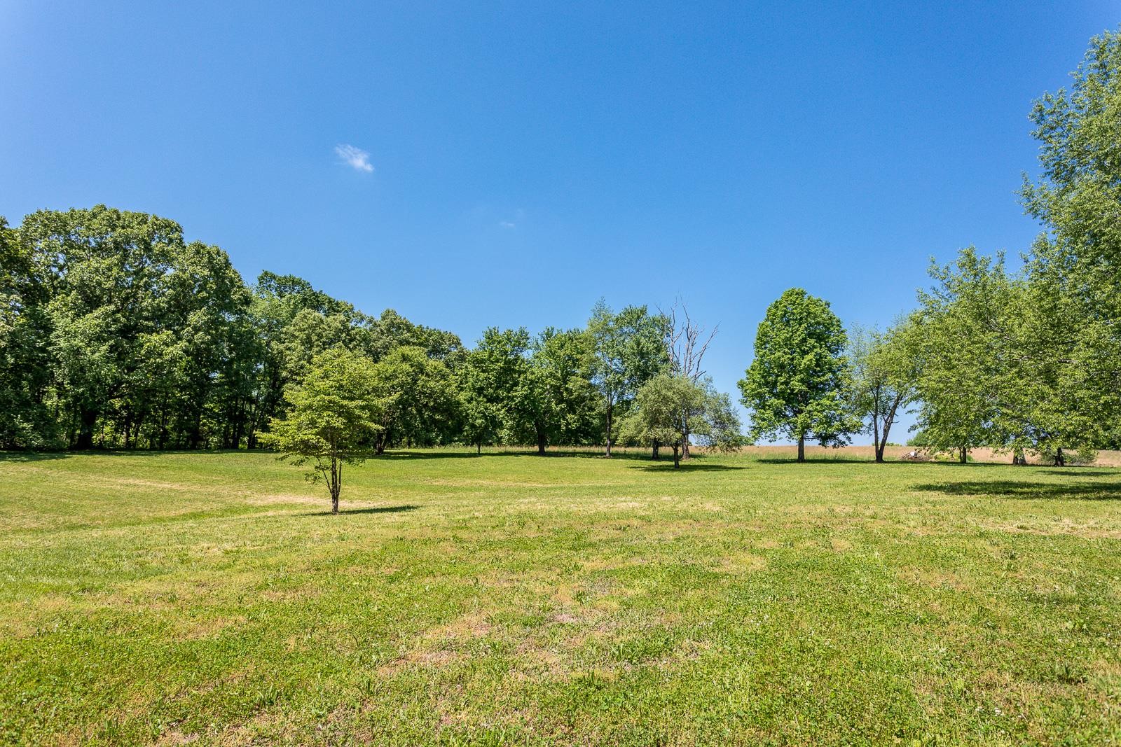 10997 Rials Branch Road Bon Aqua, TN 37025 - Photo 29 of 39 a view of a green field with trees in the background