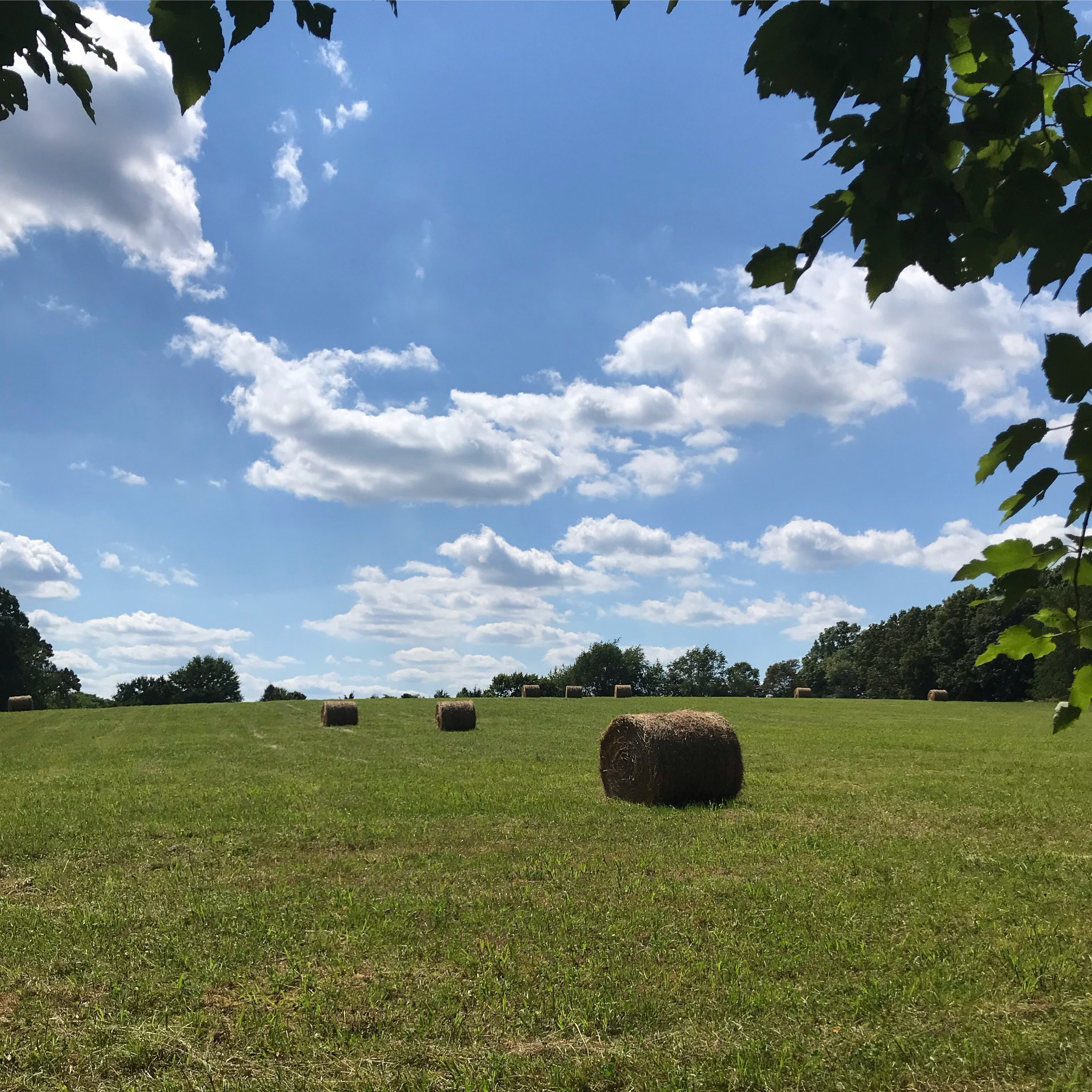10997 Rials Branch Road Bon Aqua, TN 37025 - Photo 31 of 39 a view of outdoor space and city view