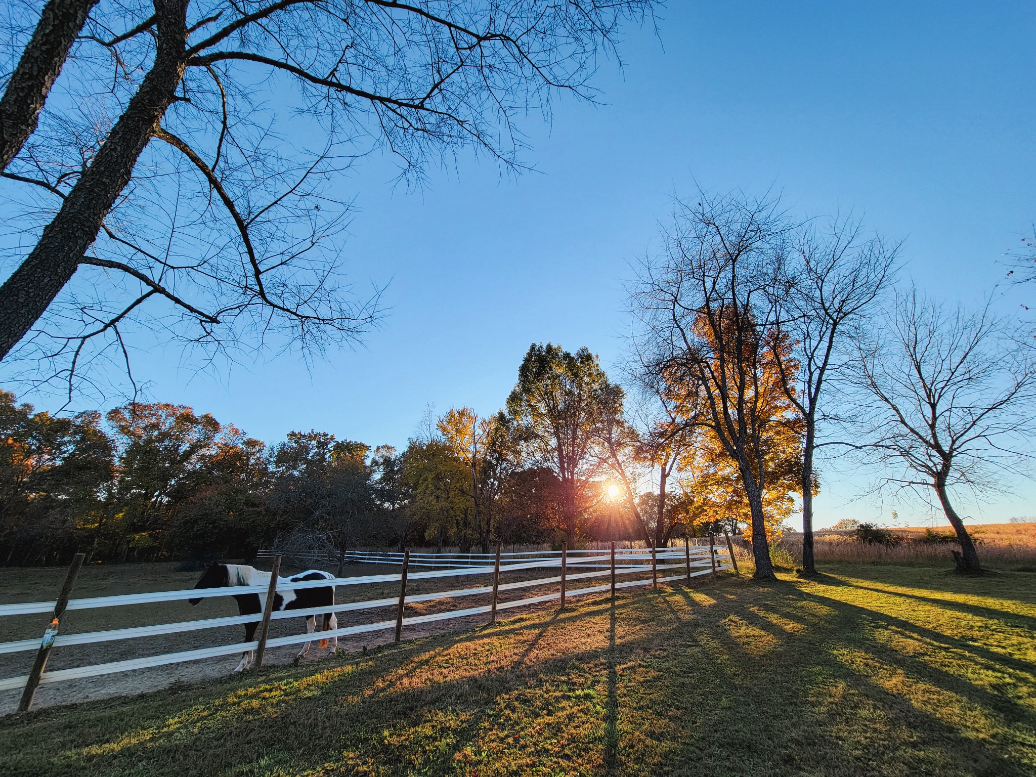 10997 Rials Branch Road Bon Aqua, TN 37025 - Photo 35 of 39 a view of outdoor space with garden and trees