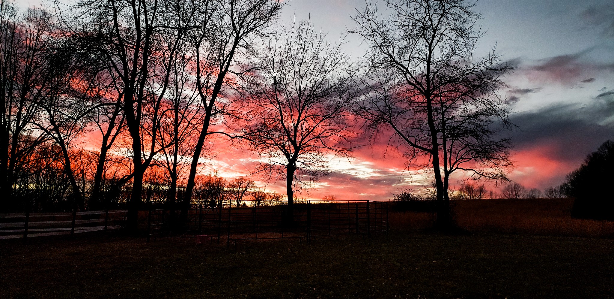 10997 Rials Branch Road Bon Aqua, TN 37025 - Photo 36 of 39 a view of outdoor space and yard