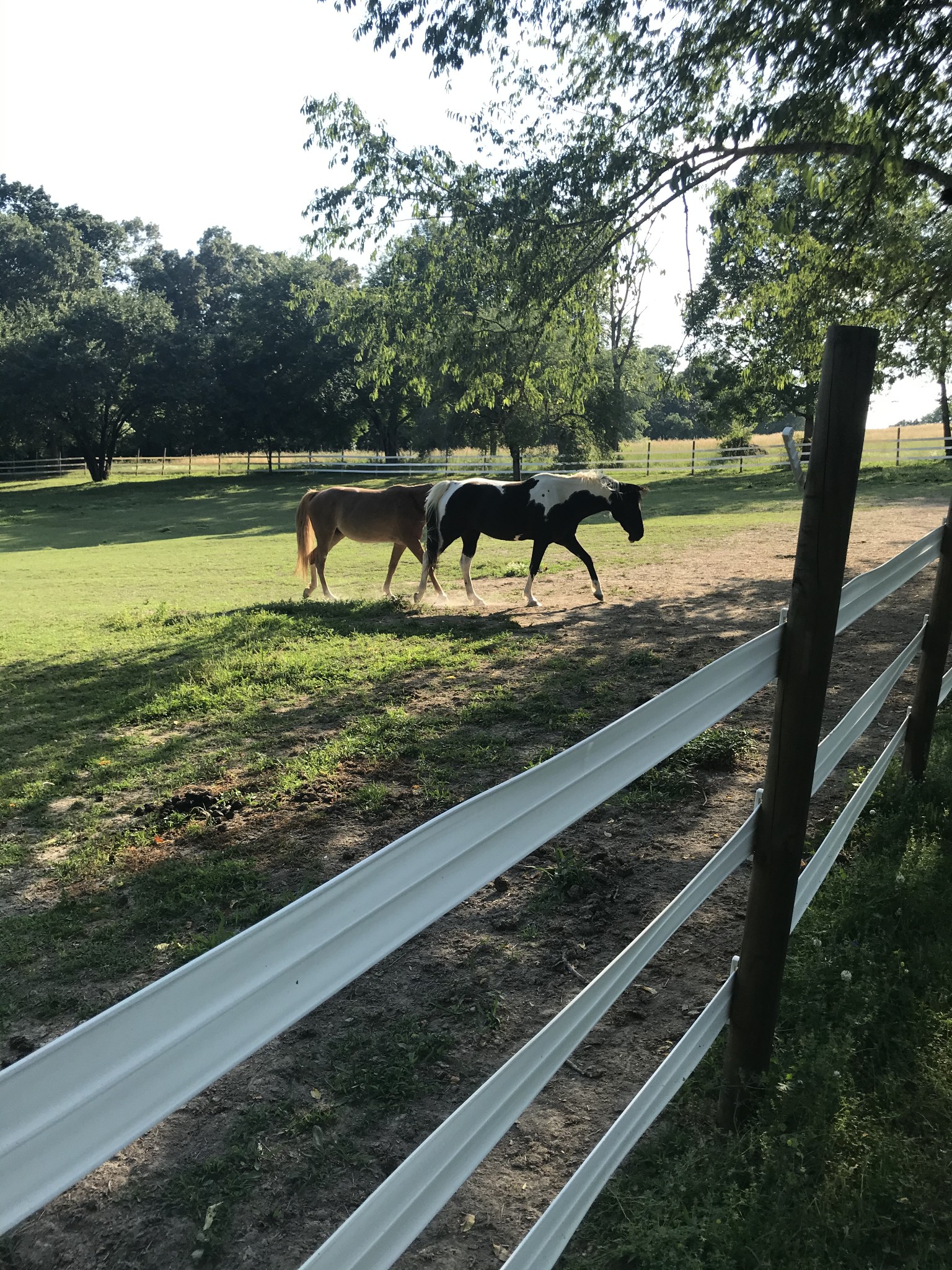 10997 Rials Branch Road Bon Aqua, TN 37025 - Photo 37 of 39 a view of a yard with wooden fence