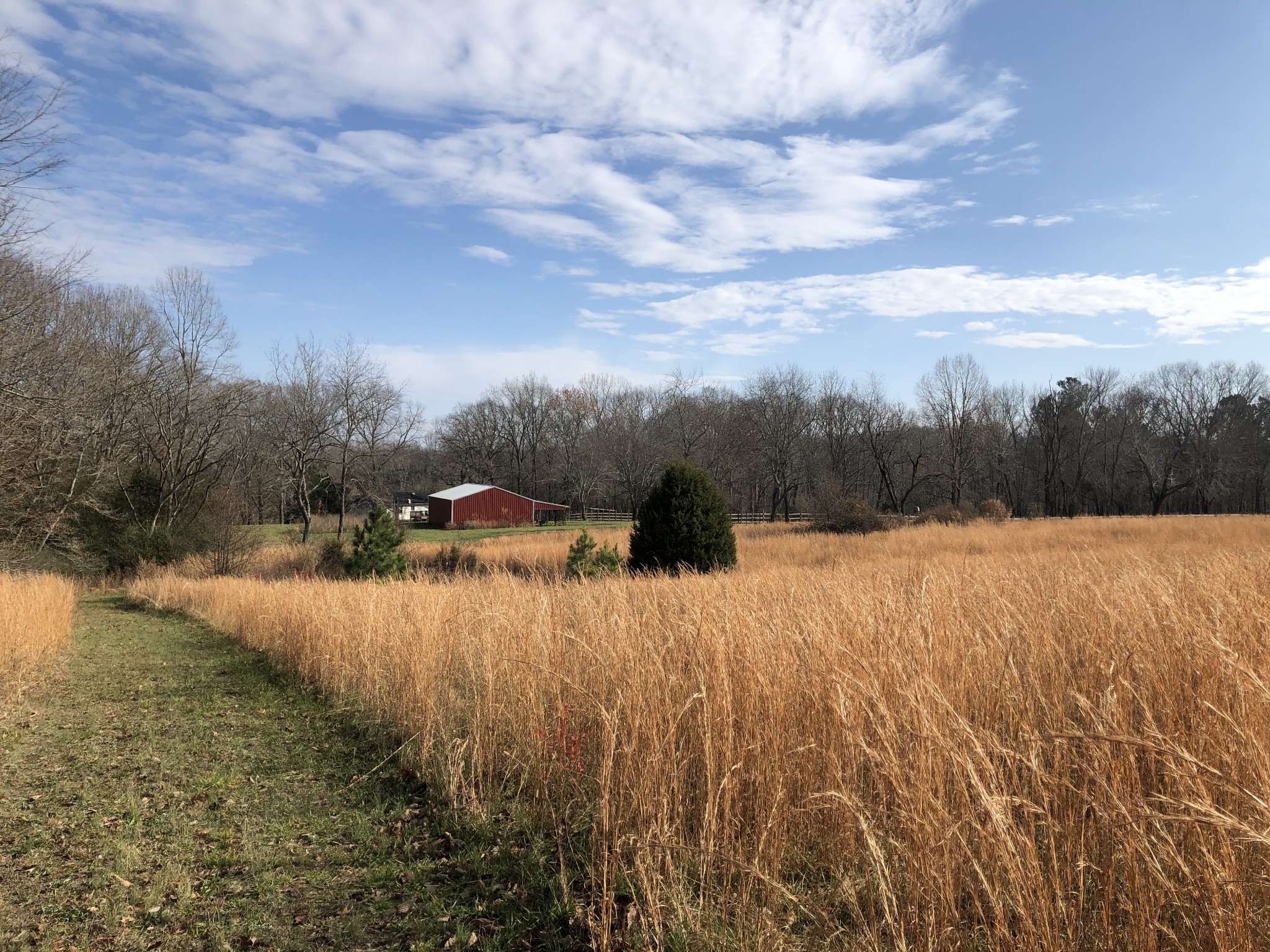 10997 Rials Branch Road Bon Aqua, TN 37025 - Photo 38 of 39 a view of river covered by trees and buildings