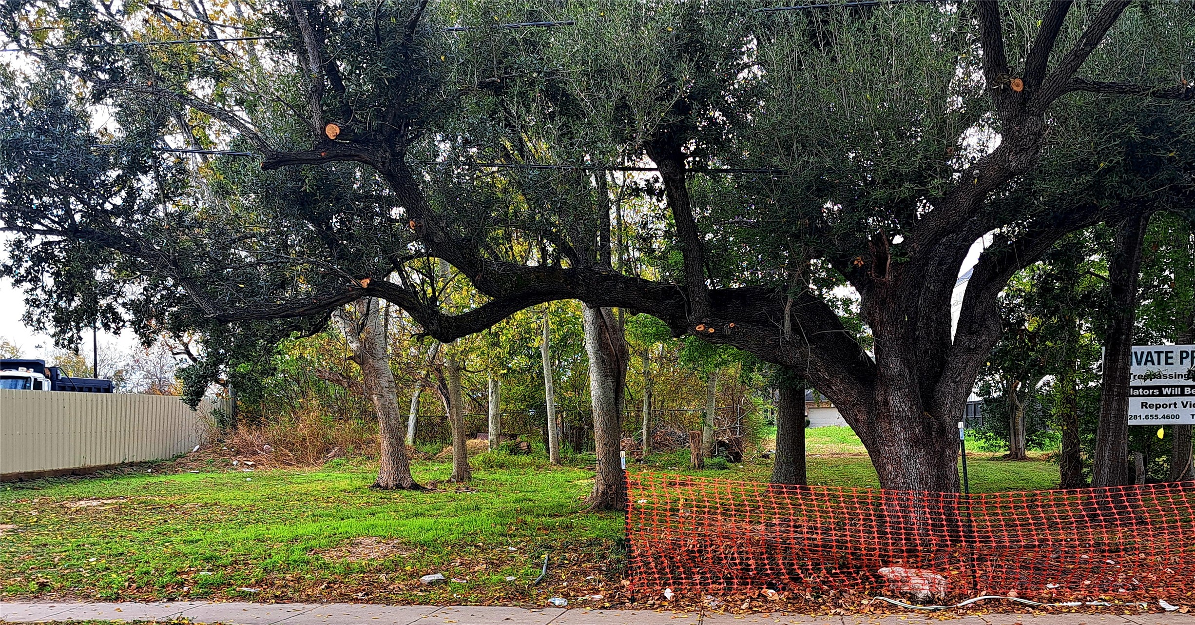 8524 Scott Street Houston, TX 77051 - Photo 4 of 7 a view of a yard with plants and large trees