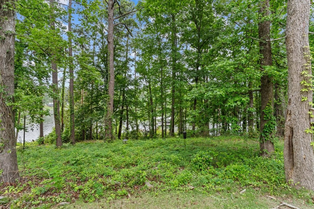 683 Calhoun Drive Abbeville, AL 36310 - Photo 43 of 52