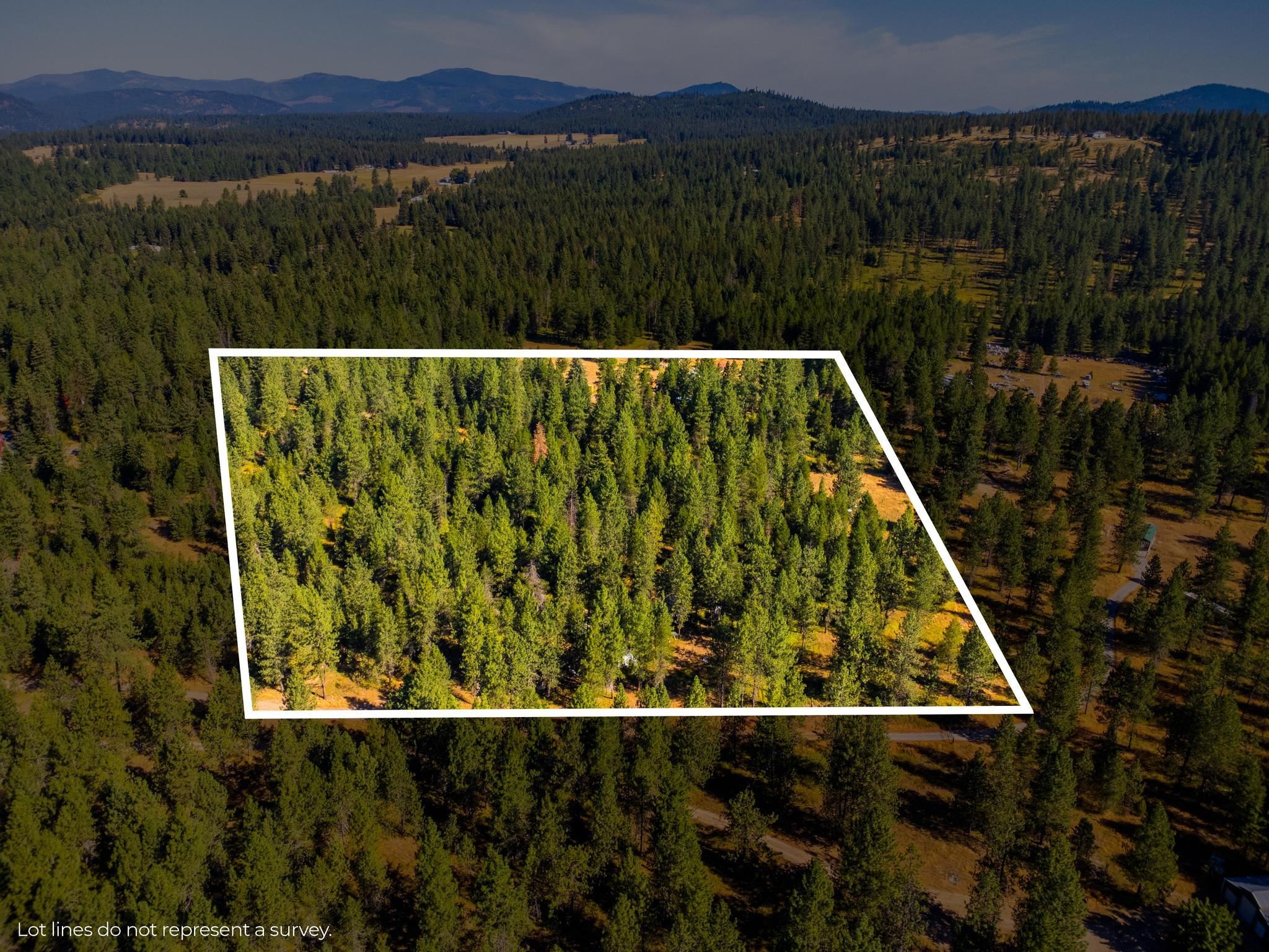 42304 North Regal Road Elk, WA 99009 - Photo 6 of 24