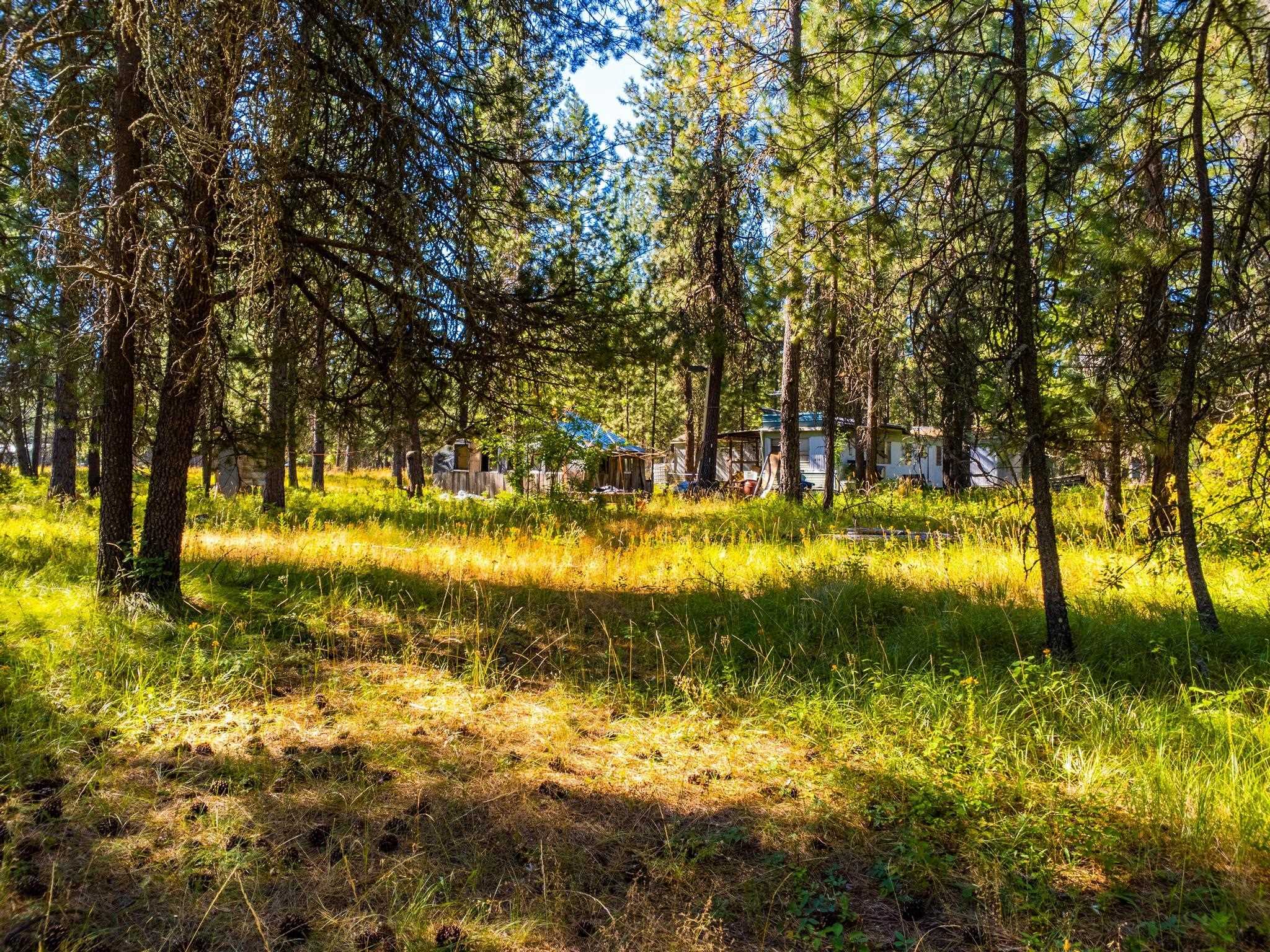 42304 North Regal Road Elk, WA 99009 - Photo 8 of 24