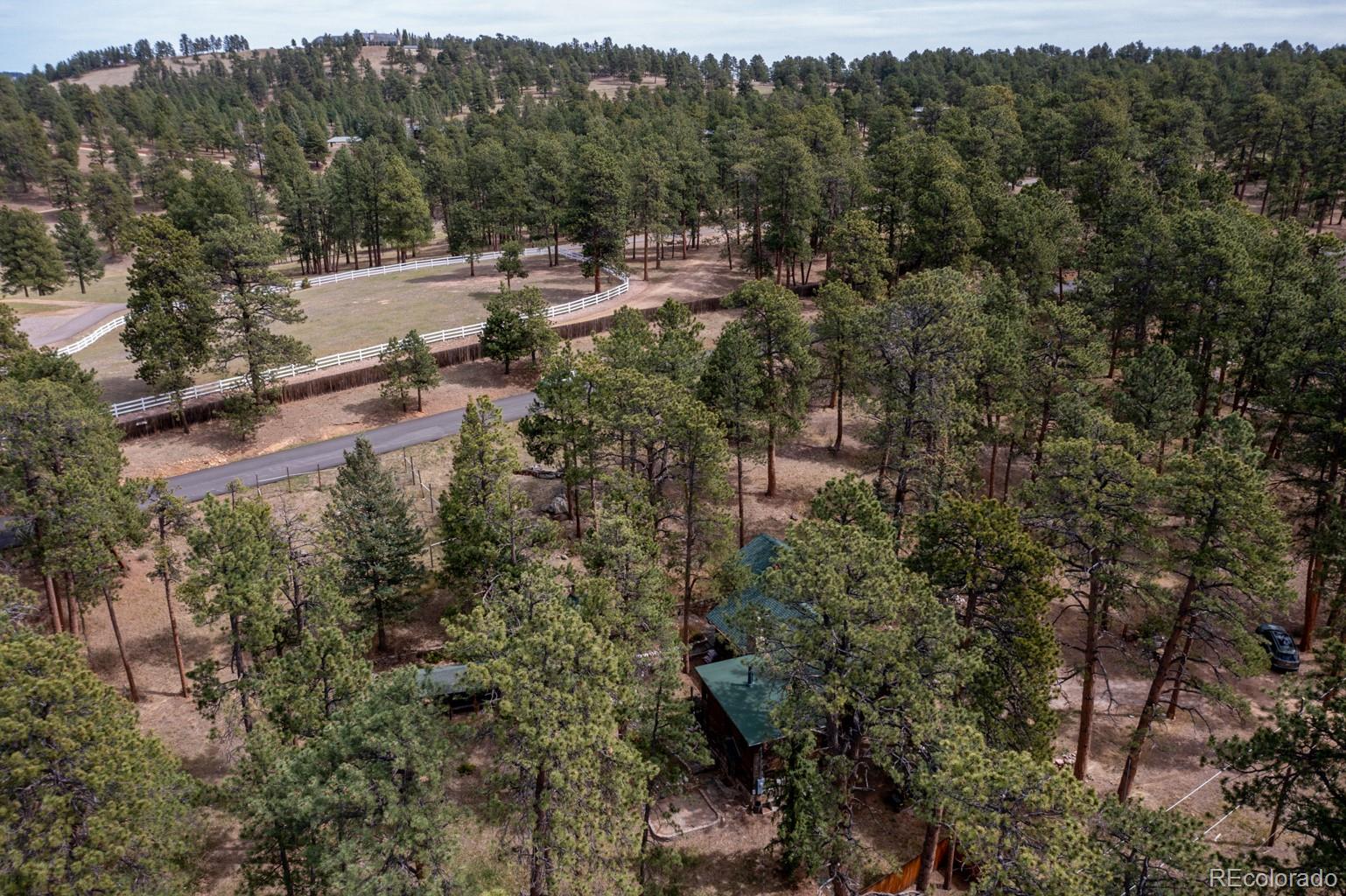 23301 Shoshone Road Indian Hills, CO 80454 - Photo 23 of 32 a view of a forest with a yard