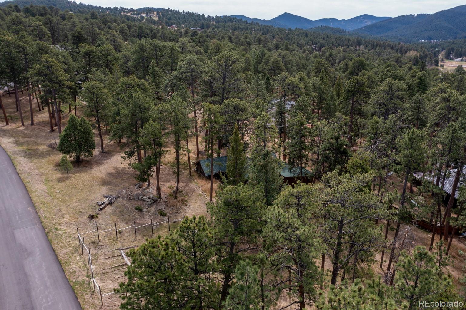 23301 Shoshone Road Indian Hills, CO 80454 - Photo 24 of 32 a view of a forest with a tree