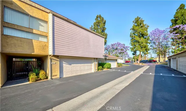 a view of a yard with plants and large trees