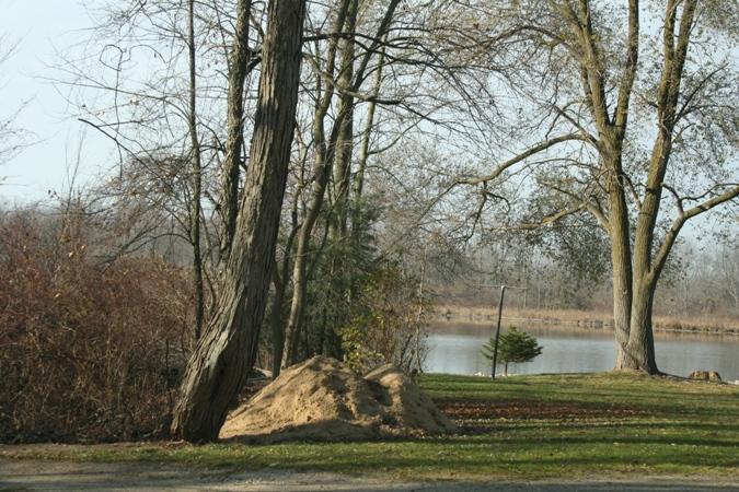 877 Kinter Road Bronson, MI 49028 - Photo 7 of 9 Additional Photo
