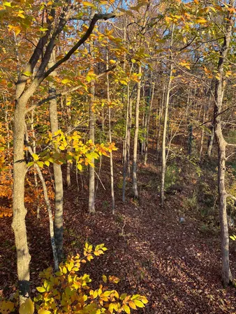 $468,000 | -vl North Cottonwood Avenue, Big Rapids, MI 49307