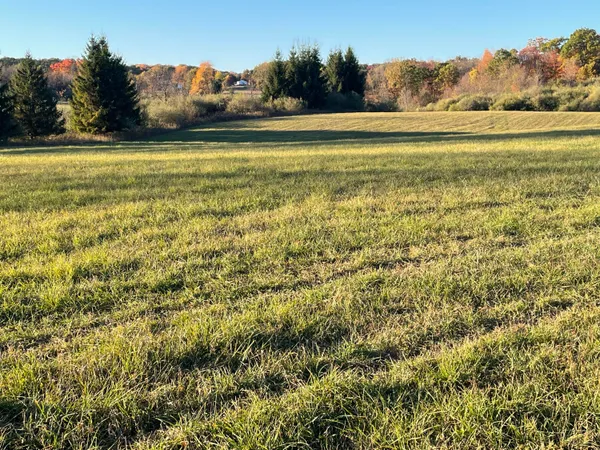 $468,000 | -vl North Cottonwood Avenue, Big Rapids, MI 49307