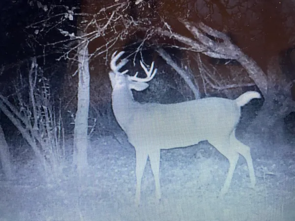 $468,000 | -vl North Cottonwood Avenue, Big Rapids, MI 49307