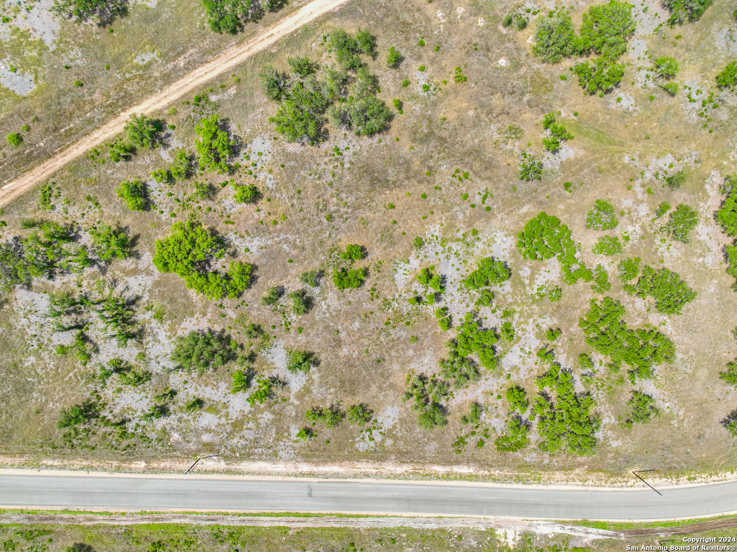 264 Grand Ranch Hondo, TX 78861 - Photo 7 of 16 a view of a yard with a plants