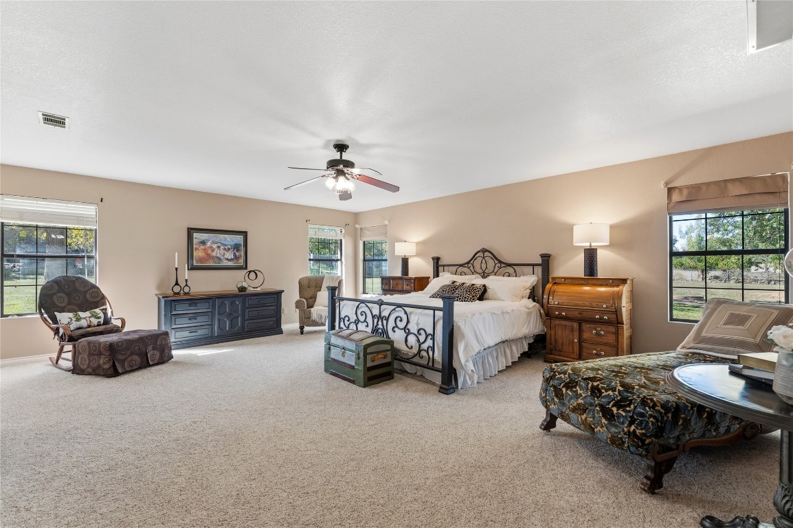 306 Starview Drive Georgetown, TX 78628 - Photo 12 of 26 Large carpeted bedroom with multiple windows and a ceiling fan