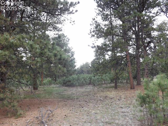 5215 Hidden Rock Road Colorado Springs, CO 80908 - Photo 10 of 21 Gallery Image 10