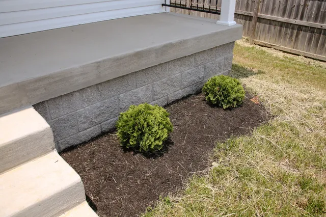 a backyard of a house with plants and large tree