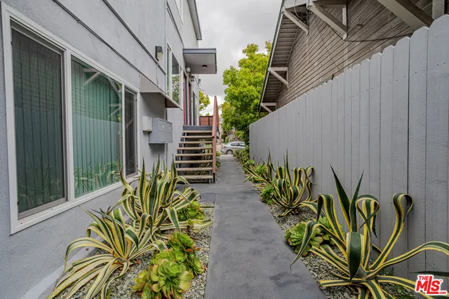 a view of a bunch of flowers