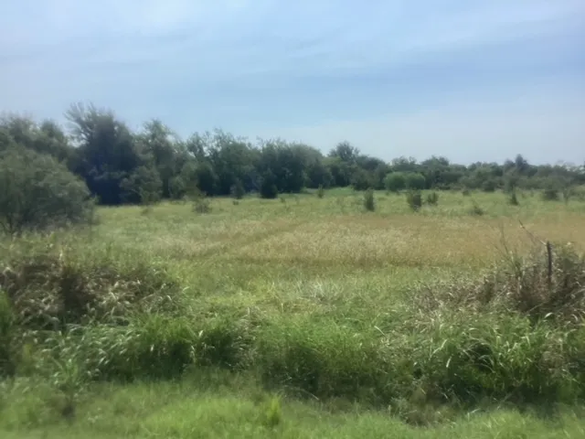 a view of a lake with houses in background
