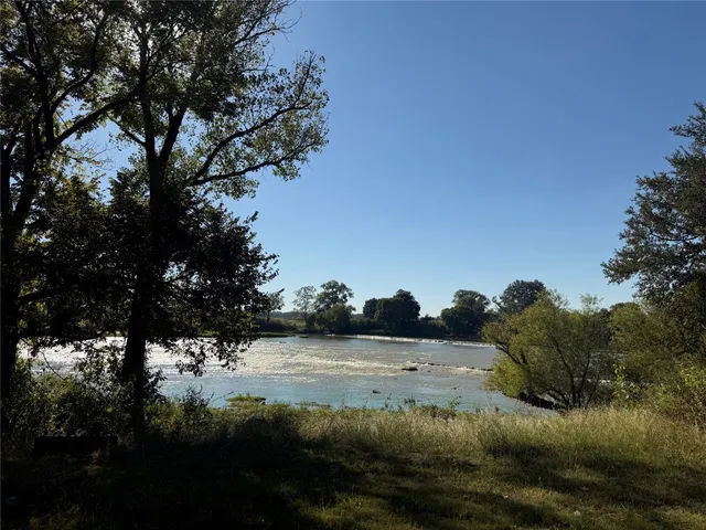 a view of a large yard with plants and a tree