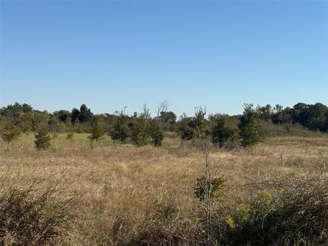 a view of a field with a tree