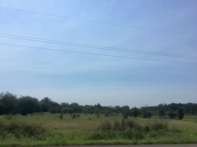a view of a field with trees in background