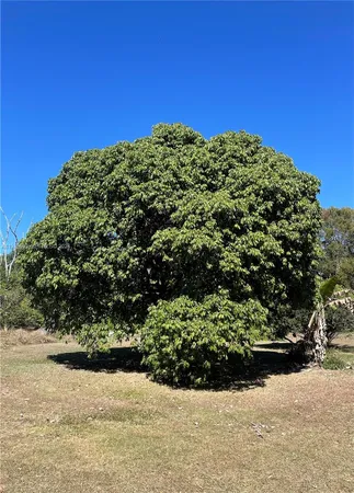 $1,849,999 | 23755 Southwest 142nd Avenue, Homestead, FL 33032