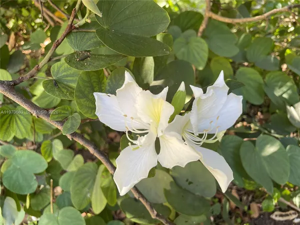 $1,849,999 | 23755 Southwest 142nd Avenue, Homestead, FL 33032