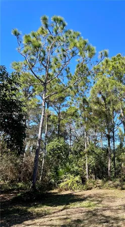 $1,849,999 | 23755 Southwest 142nd Avenue, Homestead, FL 33032