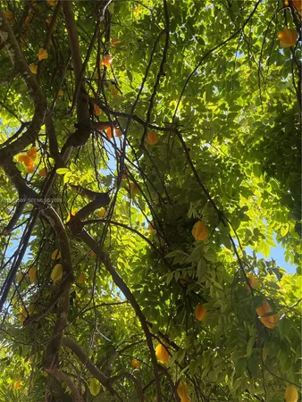 $1,849,999 | 23755 Southwest 142nd Avenue, Homestead, FL 33032