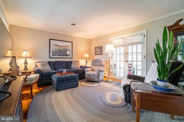 a living room with furniture or couch and a potted plant