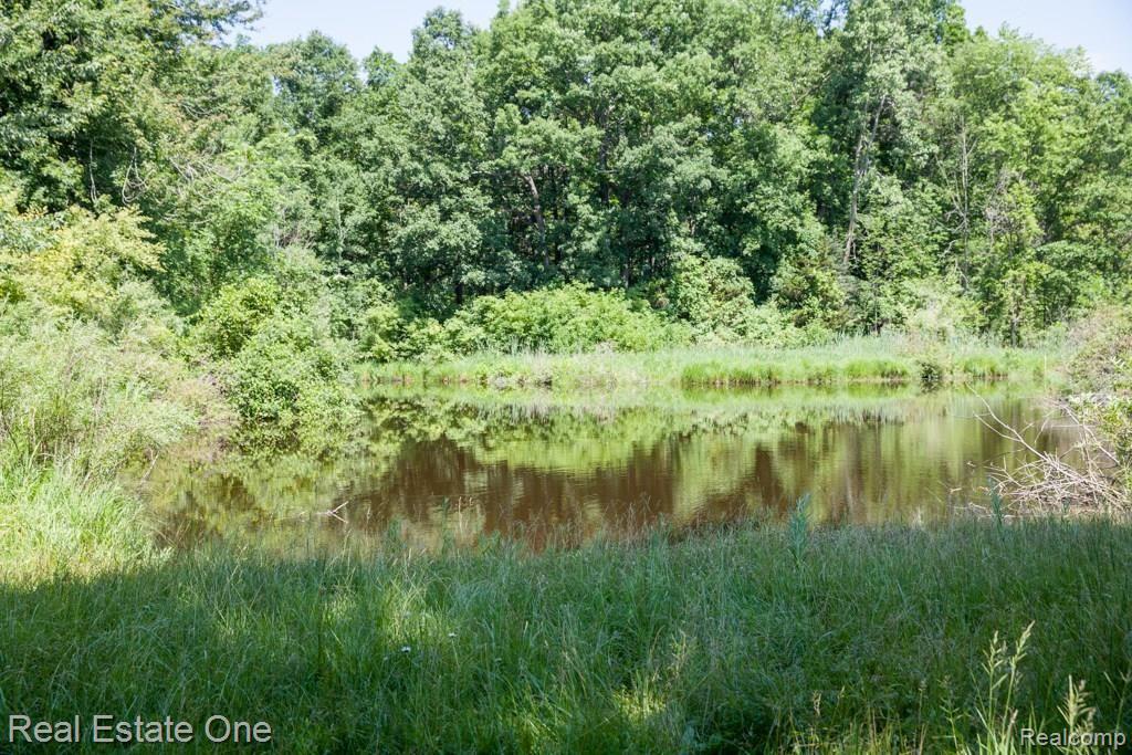 0 Edgewood Road Ortonville, MI 48462 - Photo 7 of 20