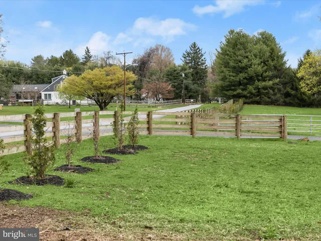 a view of a garden with a bench in the background