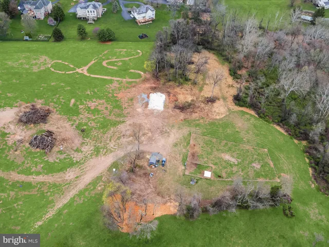a view of a tree with a yard