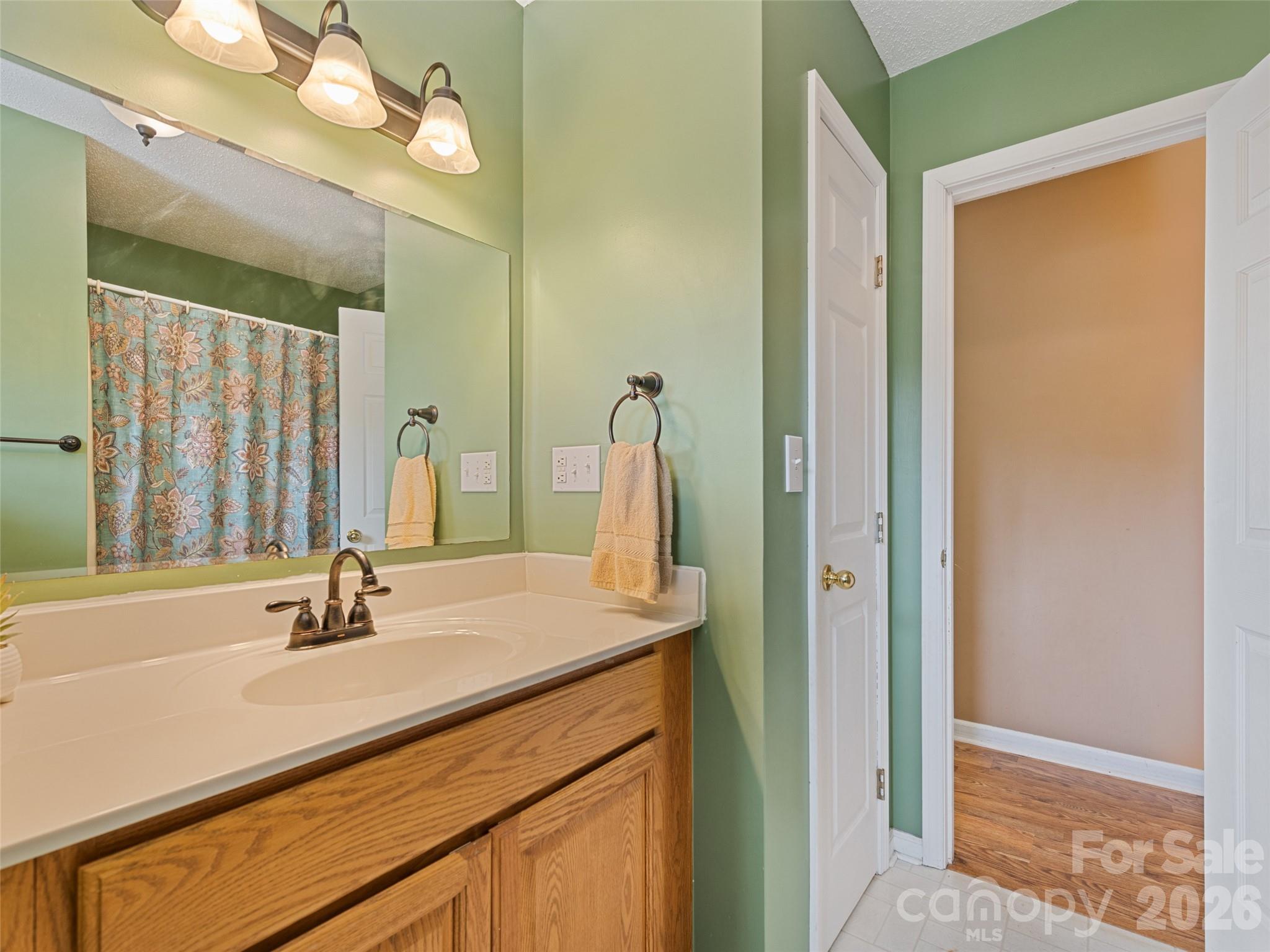 30 Woodruff Street Canton, NC 28716 - Photo 13 of 16 a bathroom with a sink vanity and a mirror