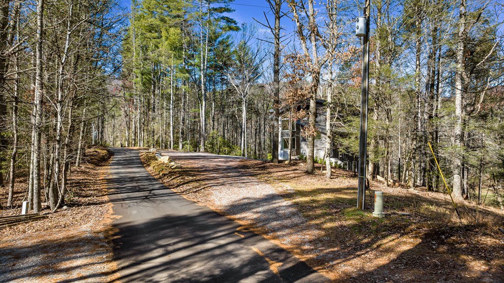 1 Harrison And Ada Road Blue Ridge, GA 30513 - Photo 15 of 73