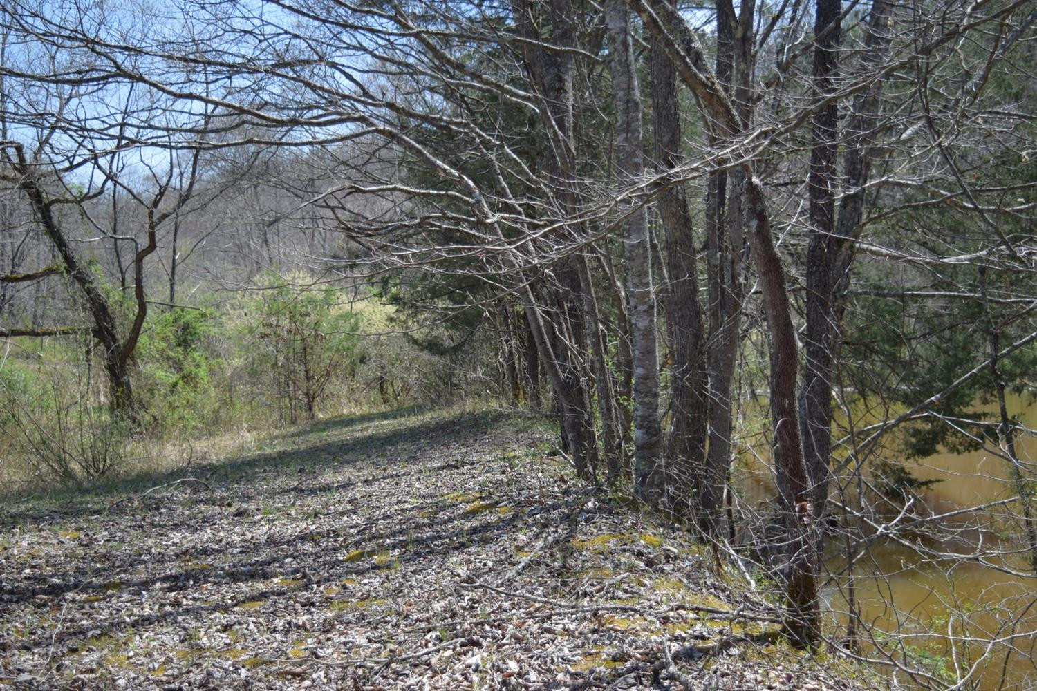9999 Teges Creek Road Manchester, KY 40962 - Photo 22 of 32 Photo 24