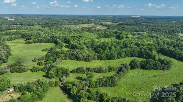 a view of a lush green space