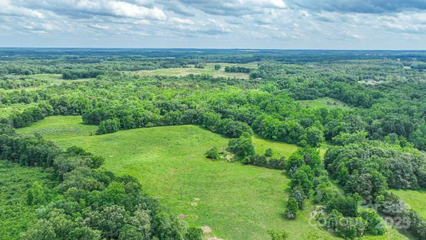 a view of a lush green space