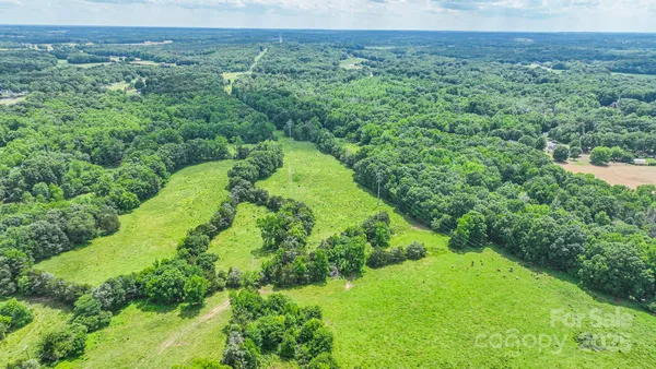a view of a lush green field