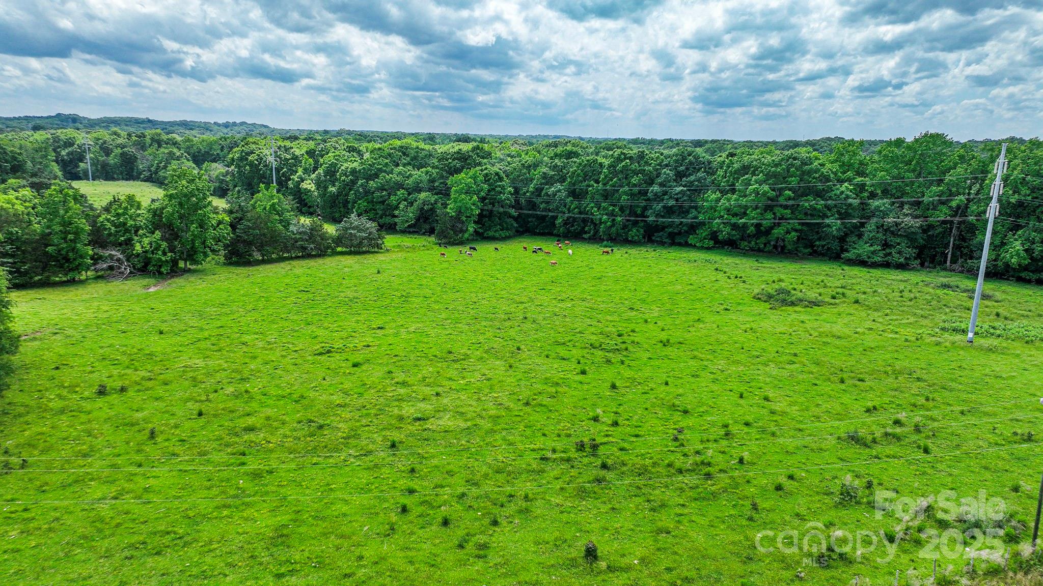 0 Avery Parker Road Monroe, NC 28112 - Photo 6 of 15 a view of a yard with an outdoor space