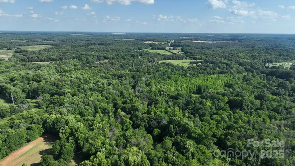 a view of a green field with lots of bushes