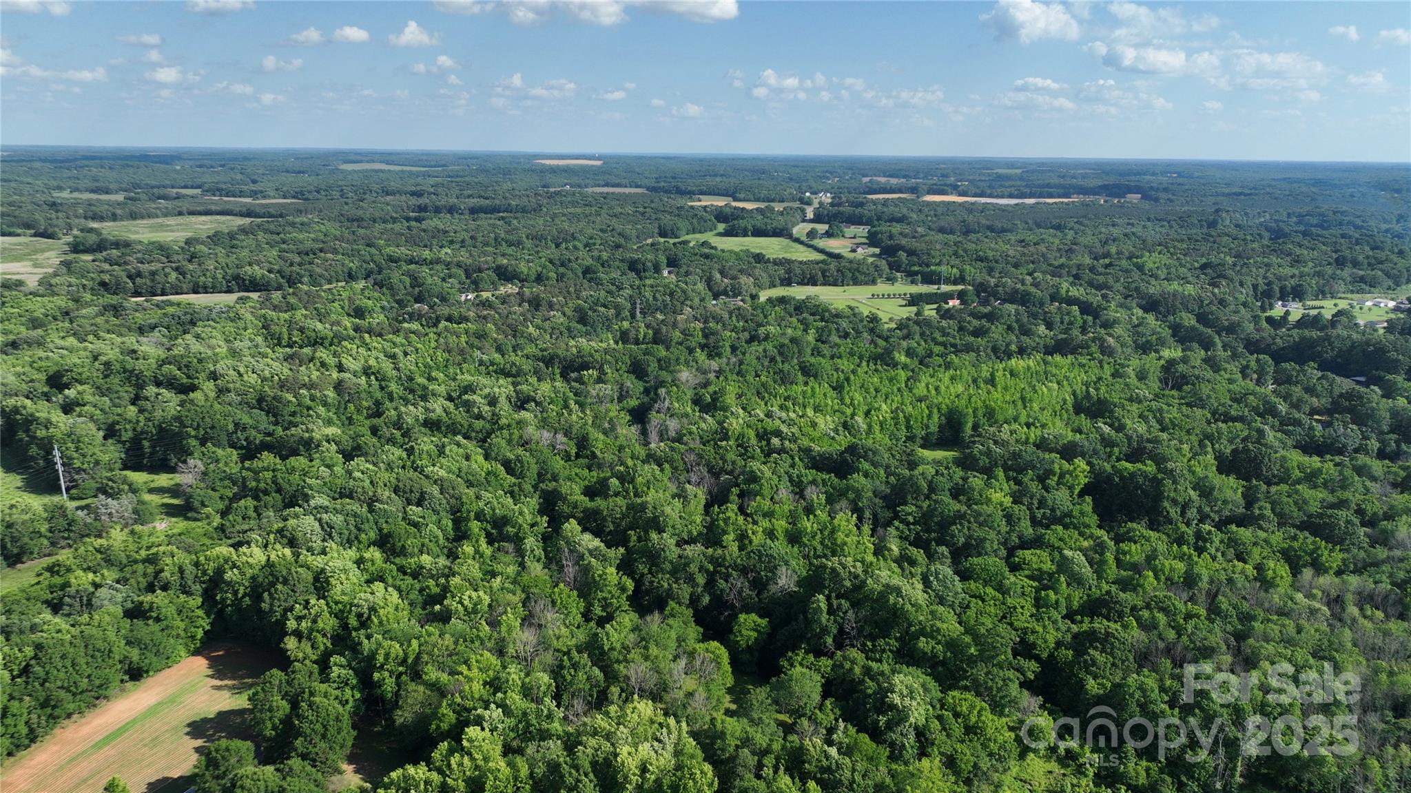 0 Avery Parker Road Monroe, NC 28112 - Photo 8 of 15 a view of a green field with lots of bushes