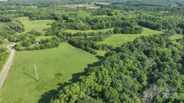 a view of a lush green forest with lots of trees