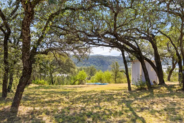 a view of a yard with a tree