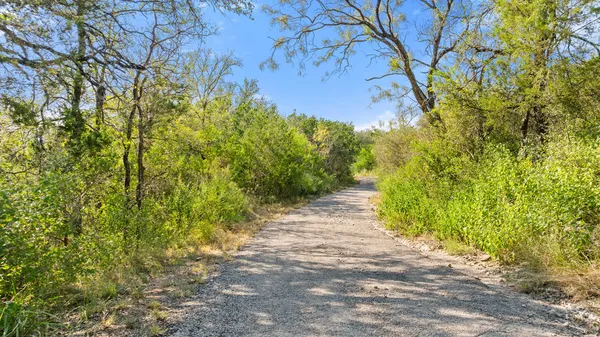 a view of a pathway both side of yard