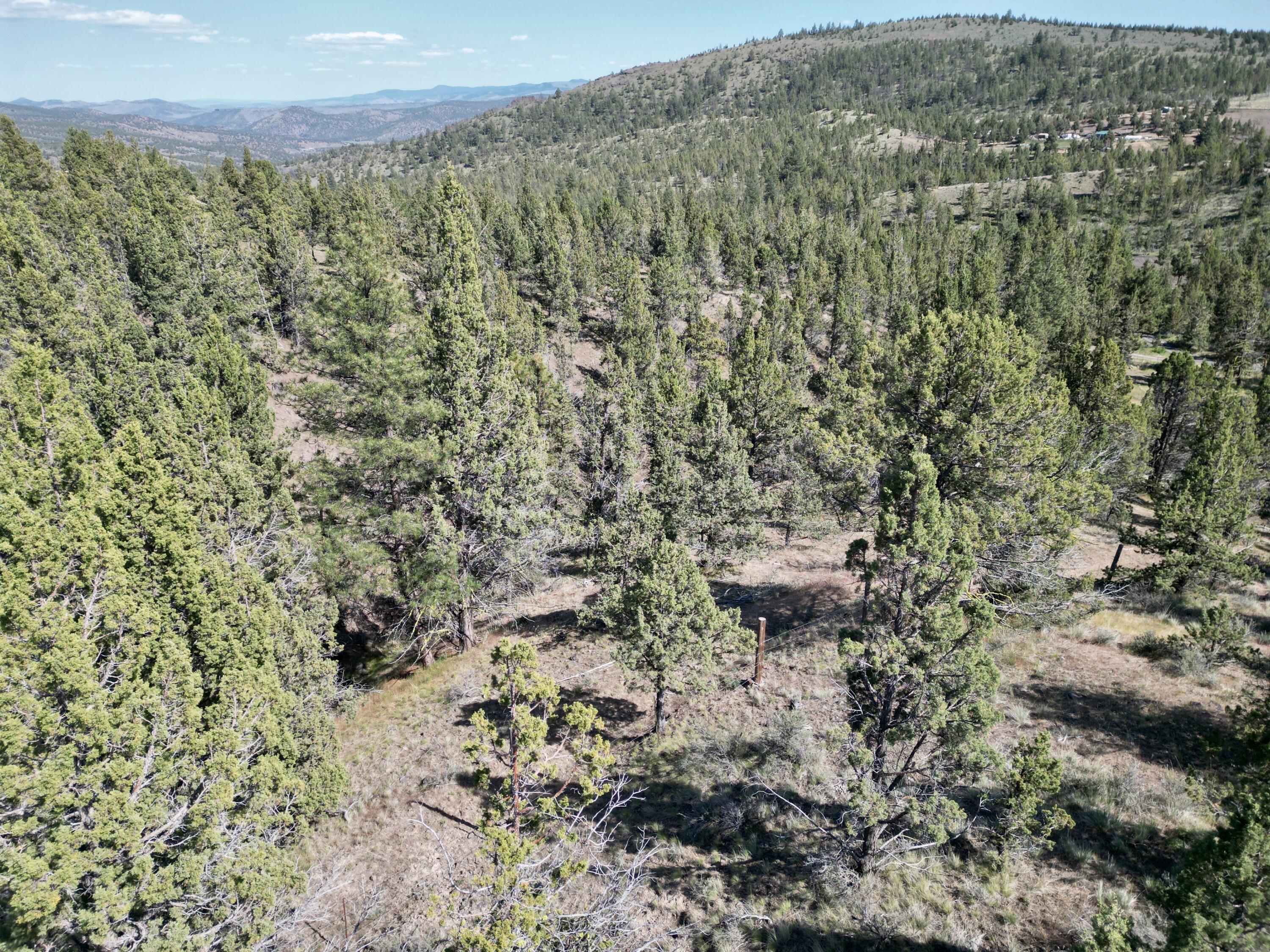 Southeast Simpson Road, Unit TL4487 & TL4488 Prineville, OR 97754 - Photo 4 of 12 Forest